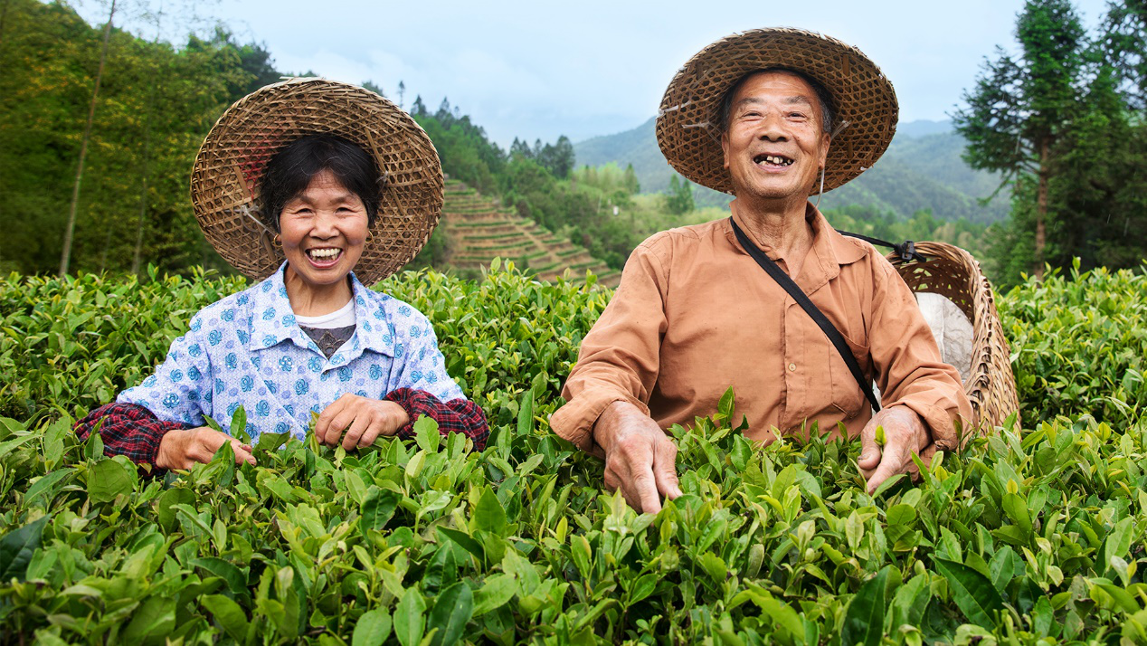 “振興中國好茶公益助農行動”正式發起，小罐茶以茶助農打贏脫貧攻堅戰