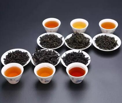 茶葉未來發展，名茶PK民茶